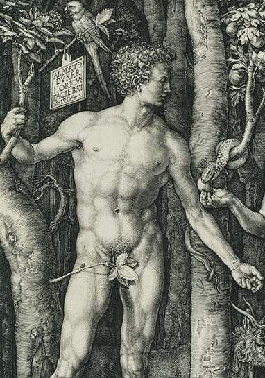 Dürer Adam without eve
